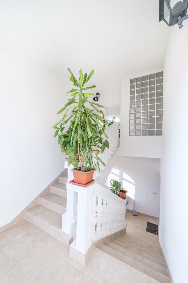 Apartman Bilac Vodice Bagian luar foto